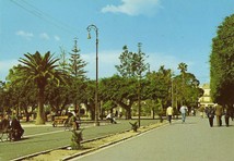 Noto-Siracusa-Villa-Comunale-Viagg.jpg